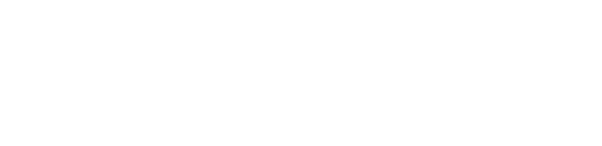 Depileve Logo